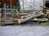DSC01860