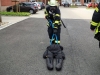 IMG_4267